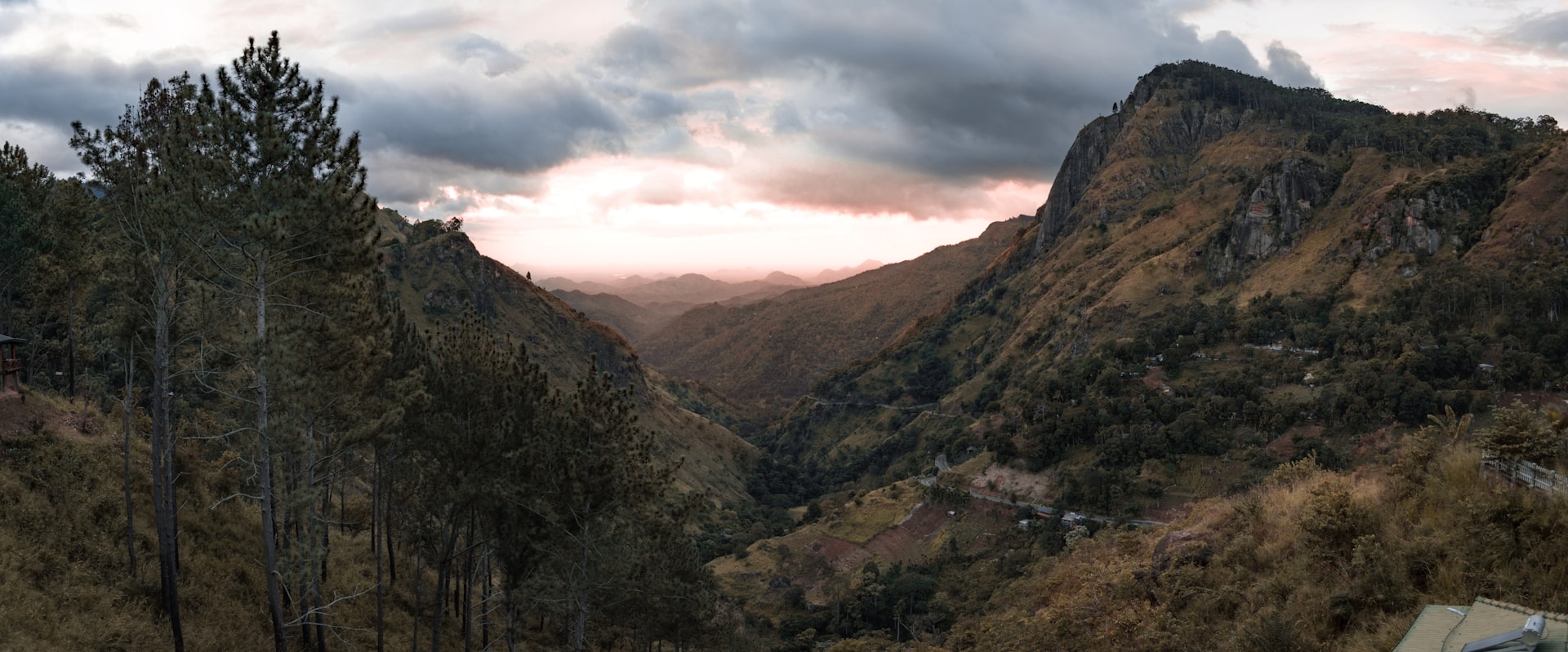 De oorspronkelijke inwoner van Sri Lanka - Ecodeco.nl