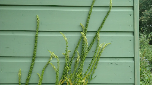 Duurzaam verven: 10 tips voor milieubewust schilderen